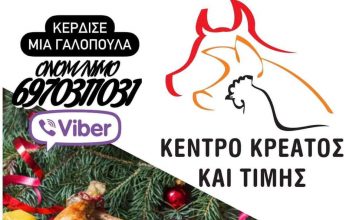 BEST ΔΙΑΓΩΝΙΣΜΟΣ: ΣΑΣ ΚΑΝΟΥΜΕ ΔΩΡΟ ΤΟ ΧΡΙΣΤΟΥΓΕΝΝΙΑΤΙΚΟ ΡΕΒΕΓΙΟΝ